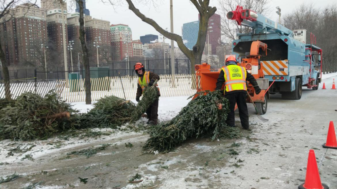 Chicago Offers 25 DropOff Sites for Recycling Your Christmas Tree
